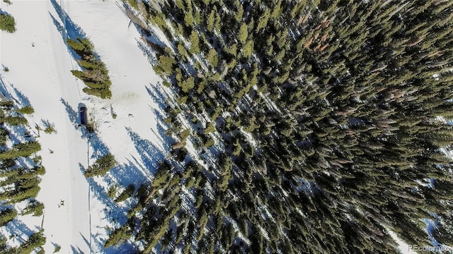434 Carroll Ln, Breckenridge, CO 80424