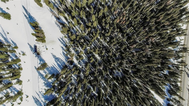 434 Carroll Ln, Breckenridge, CO 80424