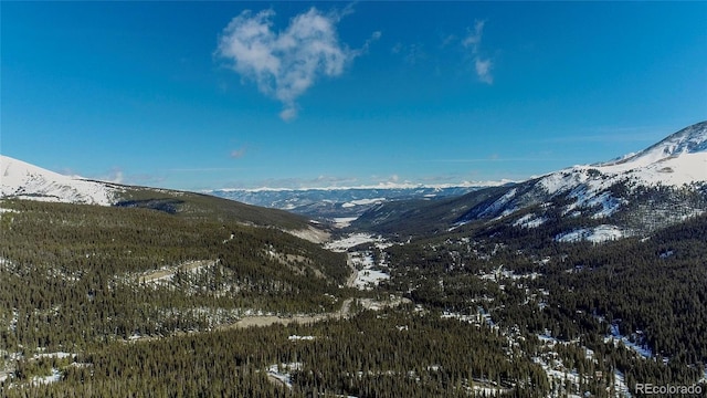 434 Carroll Ln, Breckenridge, CO 80424