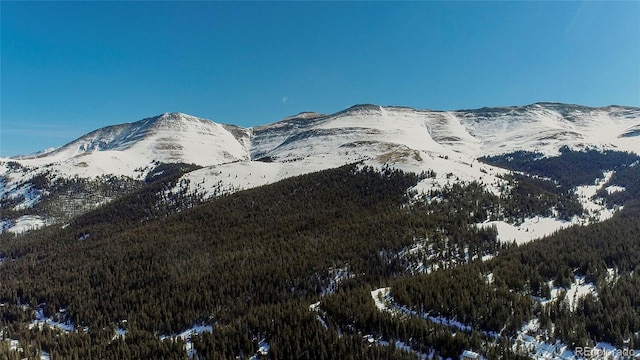434 Carroll Ln, Breckenridge, CO 80424