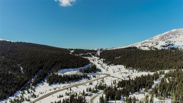 434 Carroll Ln, Breckenridge, CO 80424