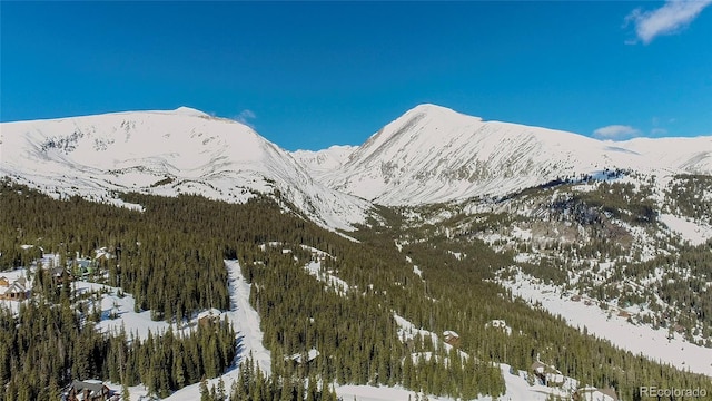 434 Carroll Ln, Breckenridge, CO 80424