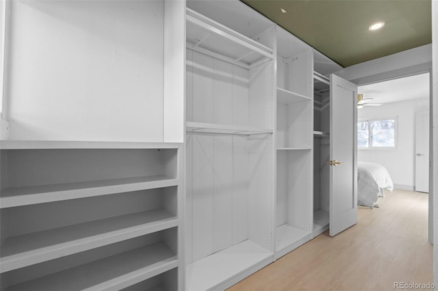 walk in closet featuring hardwood / wood-style flooring and ceiling fan