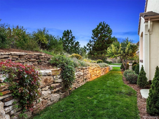 5051 Vermillion Ln, Castle Rock, CO 80108 - photo 3