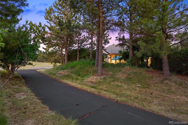 5051 Vermillion Ln, Castle Rock, CO 80108 - photo 31