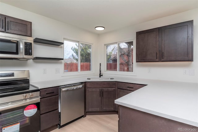 kitchen featuring stainless steel appliances, dark brown cabinetry, sink, and light wood-type flooring