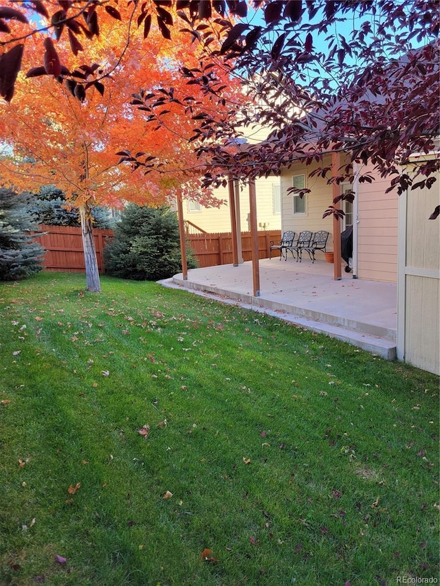 view of yard featuring a patio