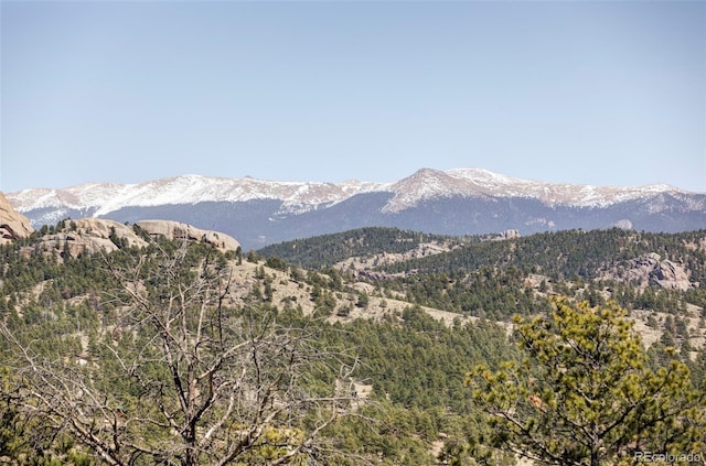 280 Highland Meadows Dr, Florissant, CO 80816 - photo 30
