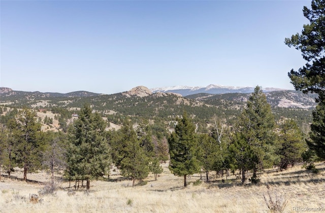 280 Highland Meadows Dr, Florissant, CO 80816 - photo 35