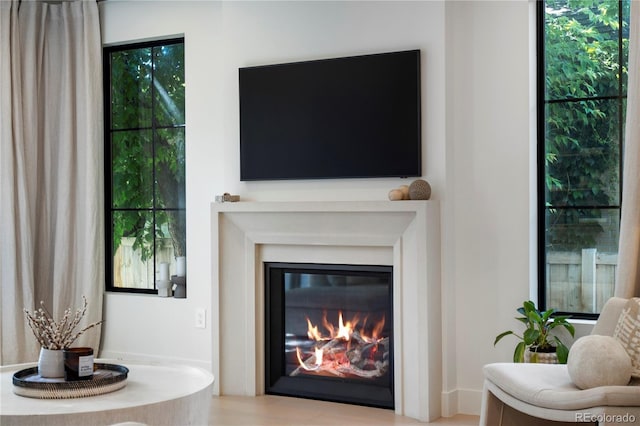 332 S Franklin St, Denver, CO 80209 - detailed view of a glass covered fireplace