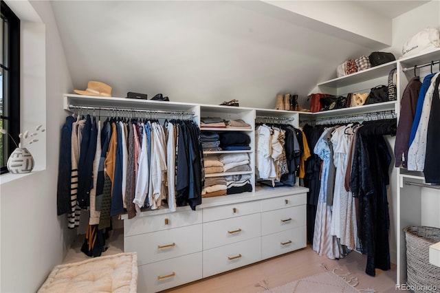 332 S Franklin St, Denver, CO 80209 - walk in closet with vaulted ceiling