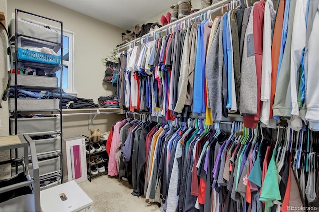 walk in closet featuring carpet flooring