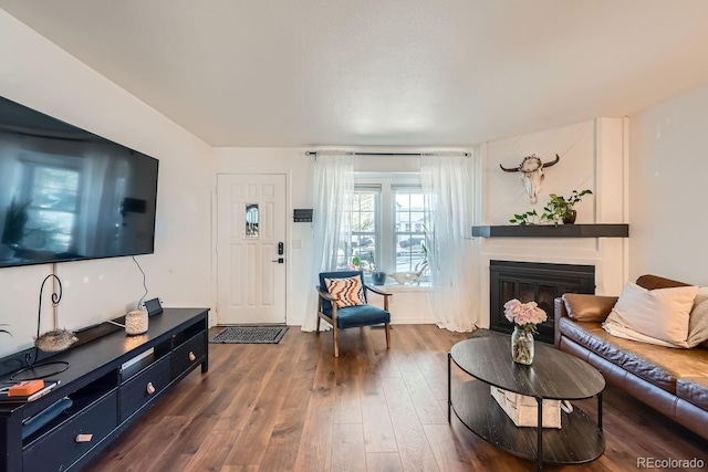 living room with dark wood-type flooring