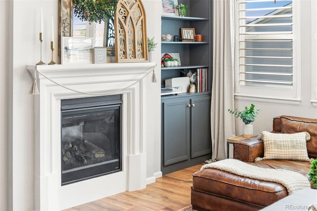 17335 W 94th Ave, Arvada, CO 80007 - living area featuring light wood finished floors, built in features, and a glass covered fireplace