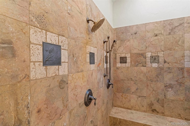 room details with tiled shower