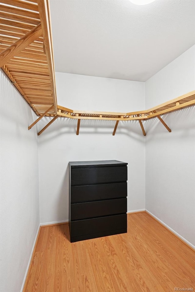 10378 W Weaver Ave, Littleton, CO 80127 - spacious closet with light wood-style flooring
