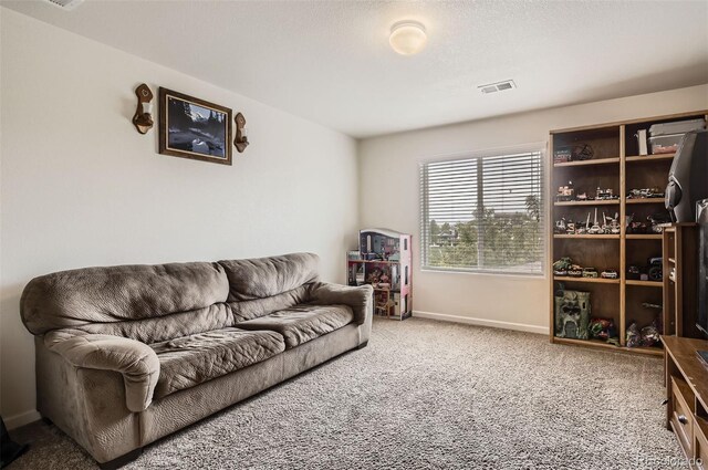 942 Wagon Bend Rd, Berthoud, CO 80513 - photo 14