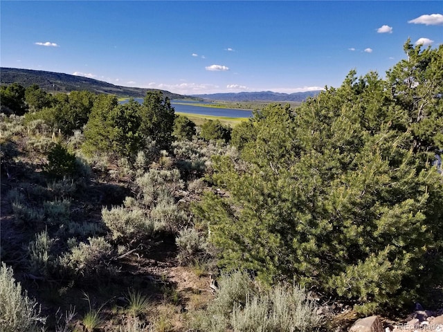 Listing photo 3 for LOT3 Lakeview Dr, San Luis CO 81152