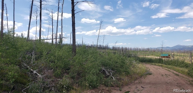 1929 Korlkoff Ln, Fort Garland, CO 81133