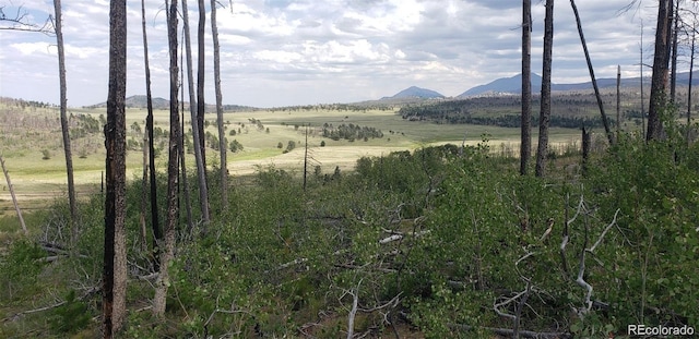 1929 Korlkoff Ln, Fort Garland, CO 81133