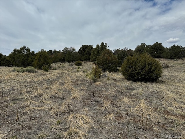 Listing photo 3 for LOT65 Comanche Dr, Walsenburg CO 81089