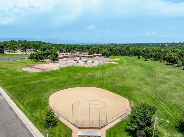 10793 W 67th Pl, Arvada, CO 80004 - photo 45