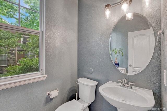 7140 Simms St Unit 102, Arvada, CO 80004 - half bathroom with a sink, toilet, and a textured wall