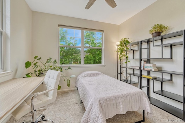 7140 Simms St Unit 102, Arvada, CO 80004 - bedroom featuring carpet, baseboards, and an office area