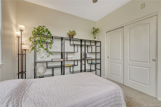 7140 Simms St Unit 102, Arvada, CO 80004 - carpeted bedroom with a closet