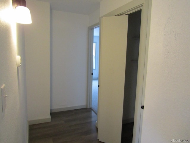 hallway with dark hardwood / wood-style floors