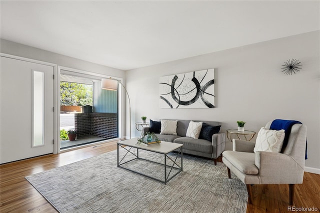 living room featuring wood finished floors