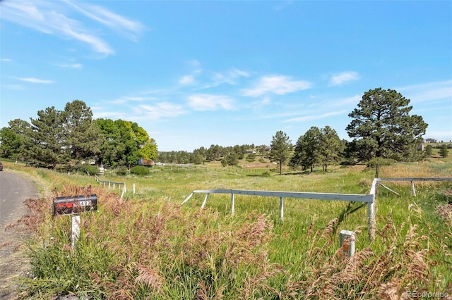 10461 Black Forest Dr, Parker, CO 80138