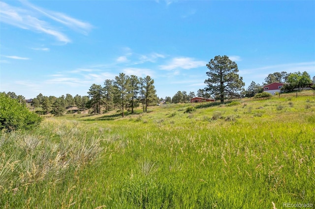 10461 Black Forest Dr, Parker, CO 80138