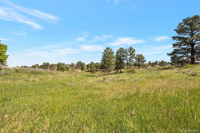 10461 Black Forest Dr, Parker, CO 80138
