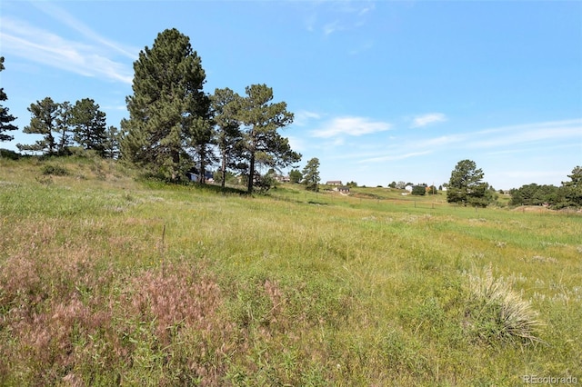 10461 Black Forest Dr, Parker, CO 80138