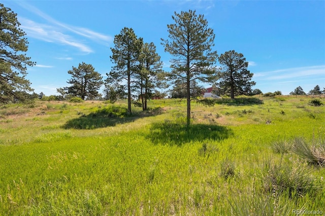 10461 Black Forest Dr, Parker, CO 80138