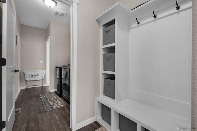 mudroom with dark wood-type flooring