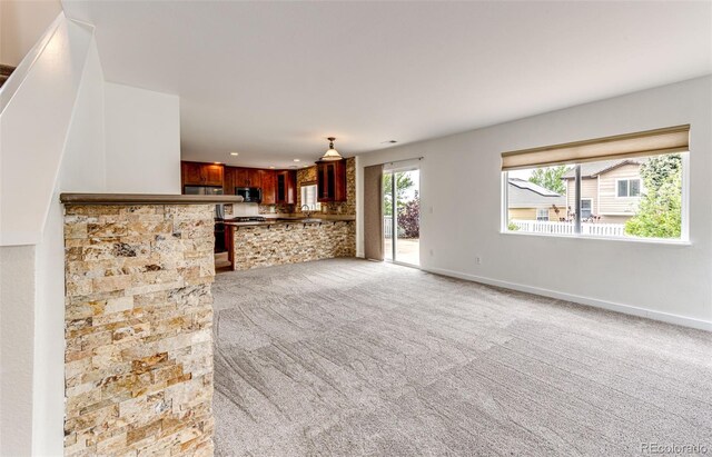 3841 Colorful Ln, Castle Rock, CO 80109 - photo 10