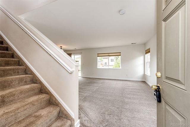3841 Colorful Ln, Castle Rock, CO 80109 - photo 18