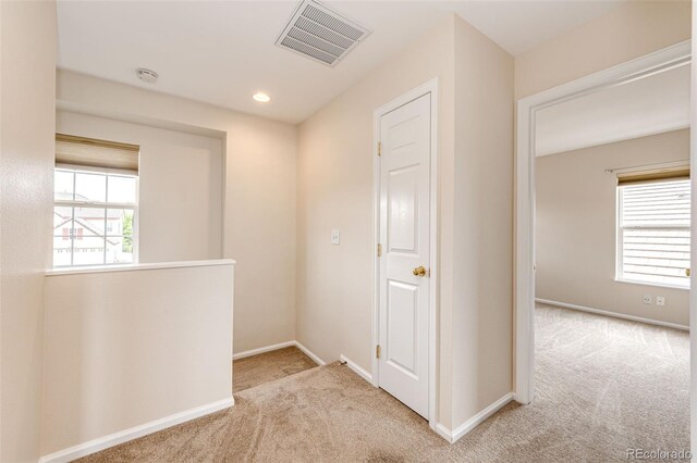 3841 Colorful Ln, Castle Rock, CO 80109 - photo 23