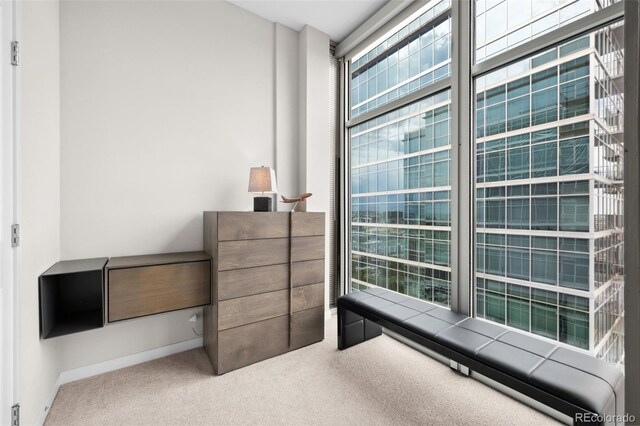 bedroom with carpet floors and baseboards