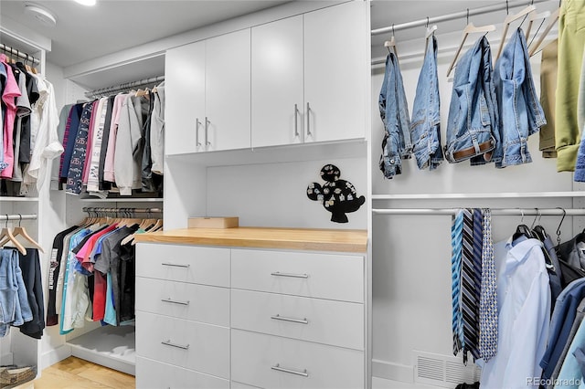 525 Badger Creek Dr, Brighton, CO 80601 - view of walk in closet