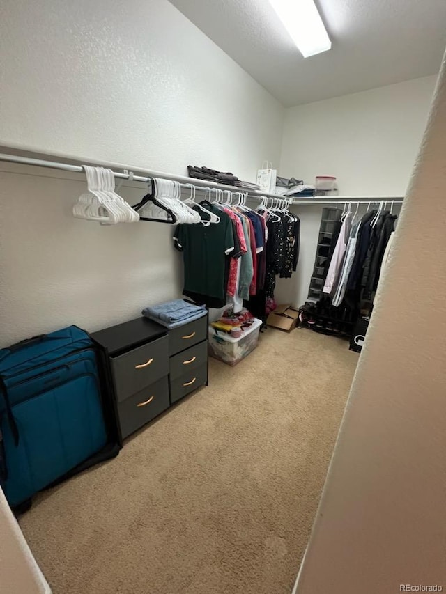 walk in closet featuring light colored carpet