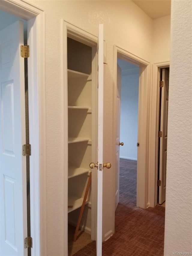 8802 E 24th Pl Unit 101, Denver, CO 80238 - view of closet