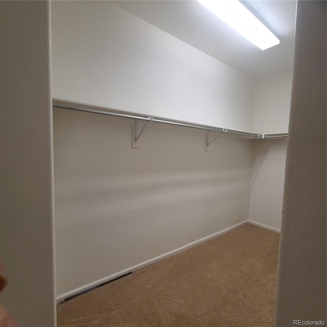 8802 E 24th Pl Unit 101, Denver, CO 80238 - spacious closet with carpet floors