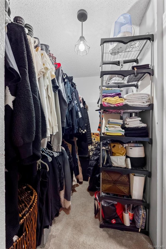 2362 S Troy St, Aurora, CO 80014 - walk in closet featuring carpet floors