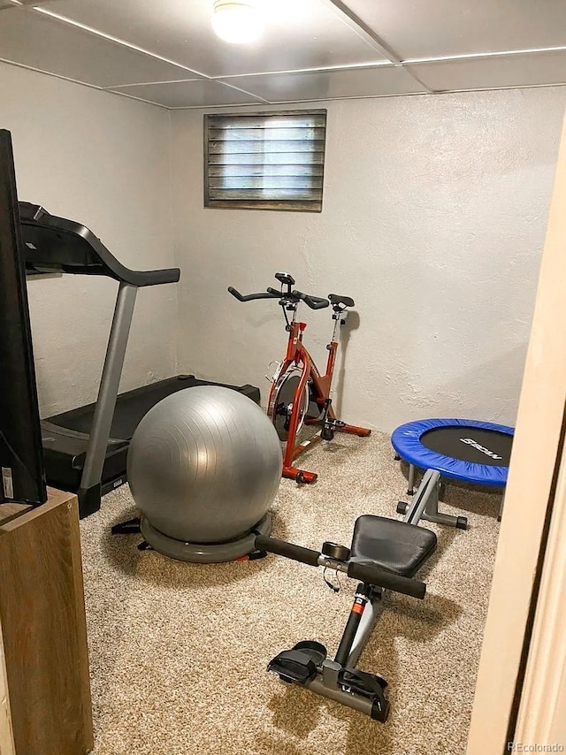 exercise room featuring carpet floors