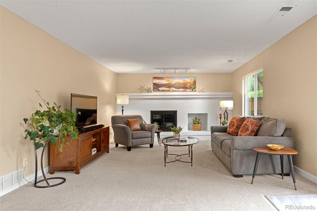 3156 W 11th Avenue Ct, Broomfield, CO 80020 - photo 11