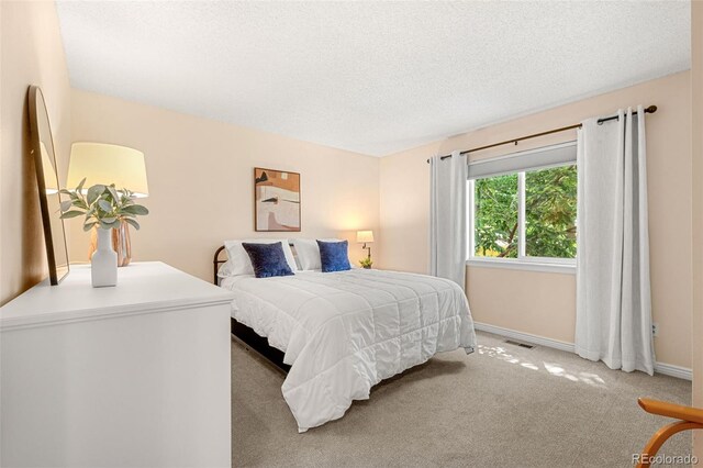 3156 W 11th Avenue Ct, Broomfield, CO 80020 - photo 18