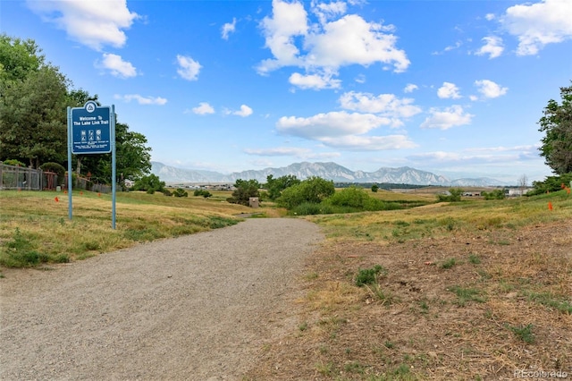 3156 W 11th Avenue Ct, Broomfield, CO 80020 - photo 29